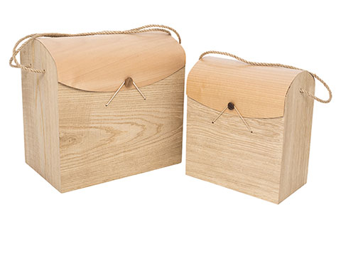 Quercus plus