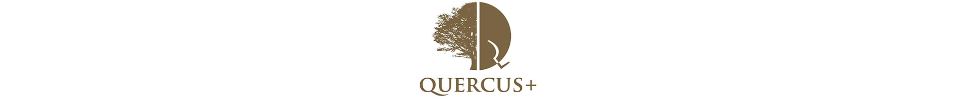 Quercus plus logo